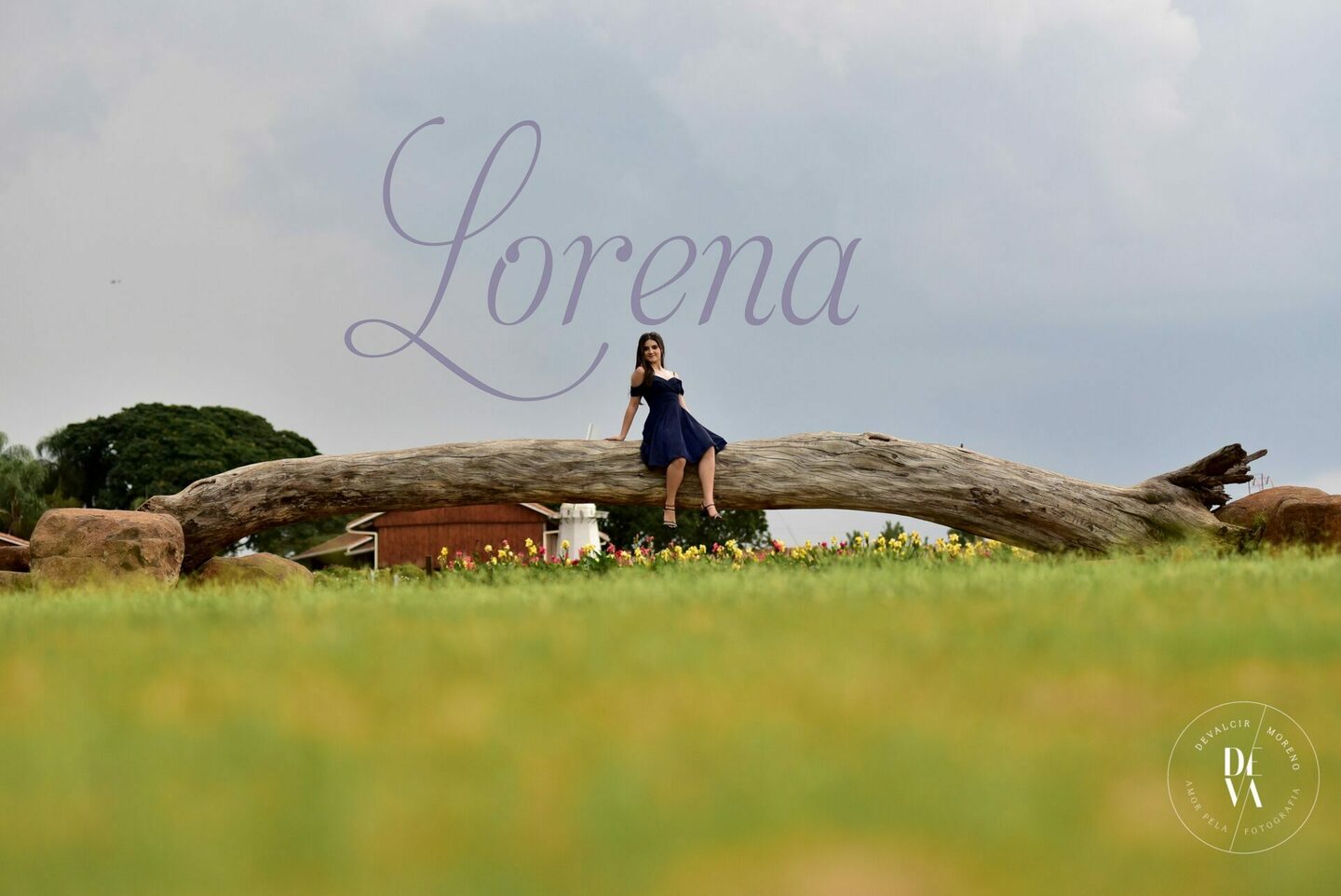 Book de 15 anos em Holambra para Lorena Sumariva