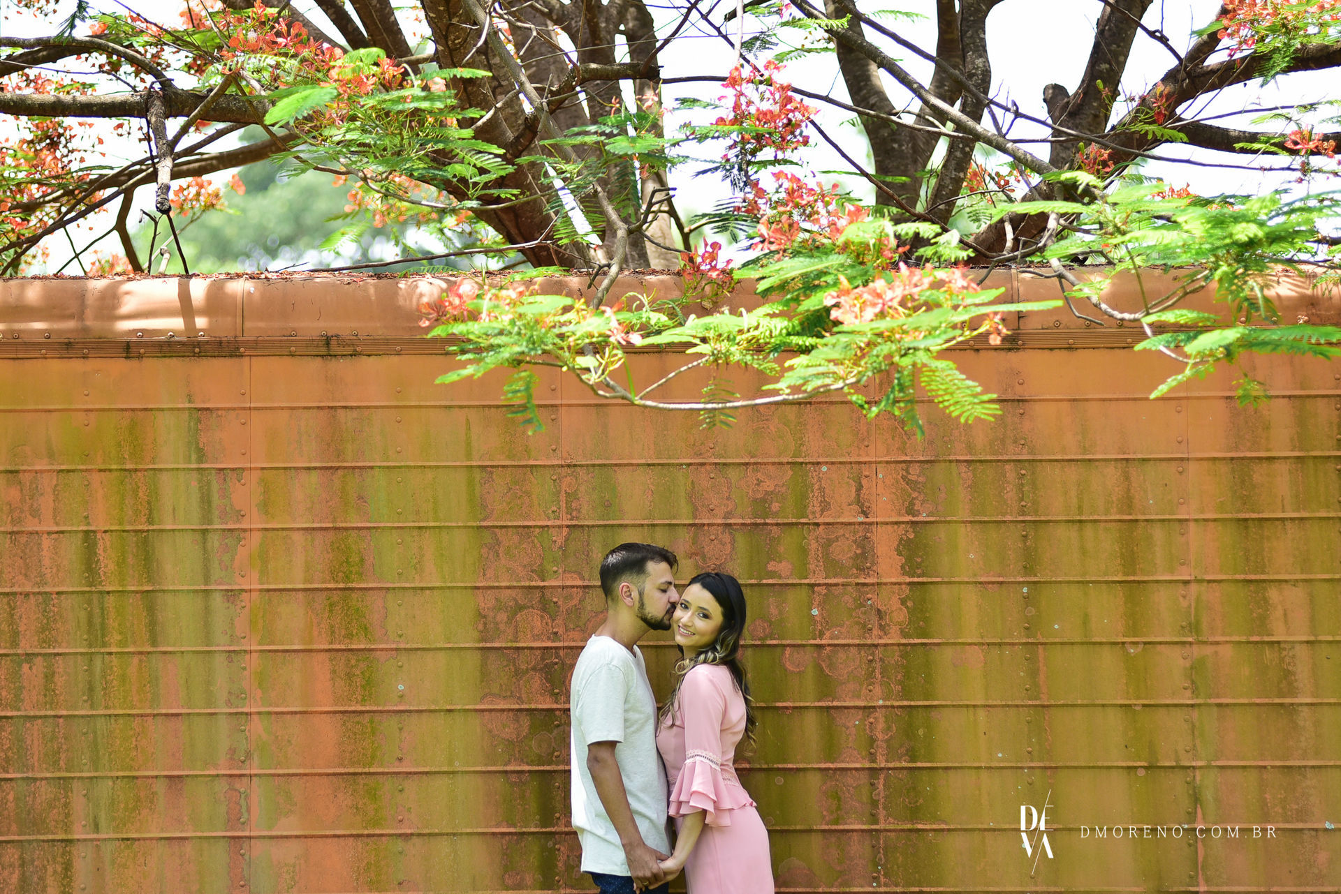 Foto Marcela + Junior - Pré-Wedding - Cardoso - SP Foto Marcela + Junior - Pré-Wedding - Cardoso - SP - Imagem 11