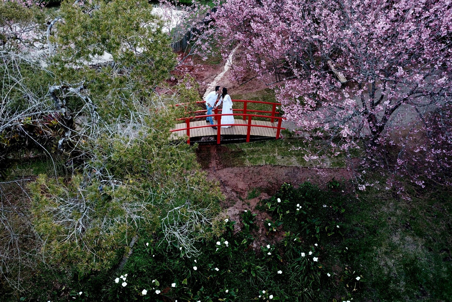 Foto Gleice + Fernando | Campos do Jordão - SP - Imagem 34