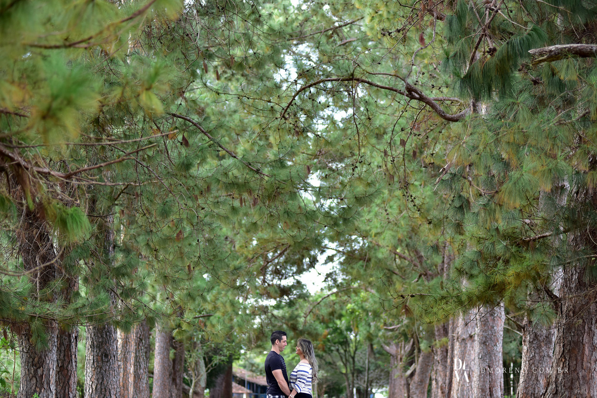 Foto Kássia + Eduardo | Cedral - SP Foto Kássia + Eduardo | Cedral - SP - Imagem 2