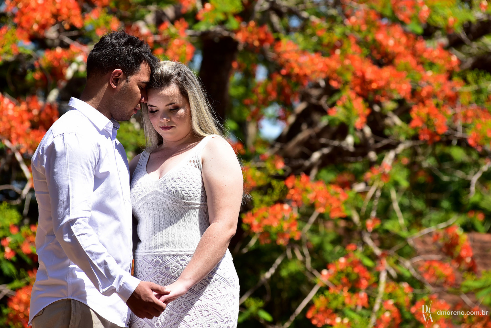 Foto Carolina + José Weliton . Um lindo ensaio na fazenda Foto Carolina + José Weliton . Um lindo ensaio na fazenda - Imagem 10