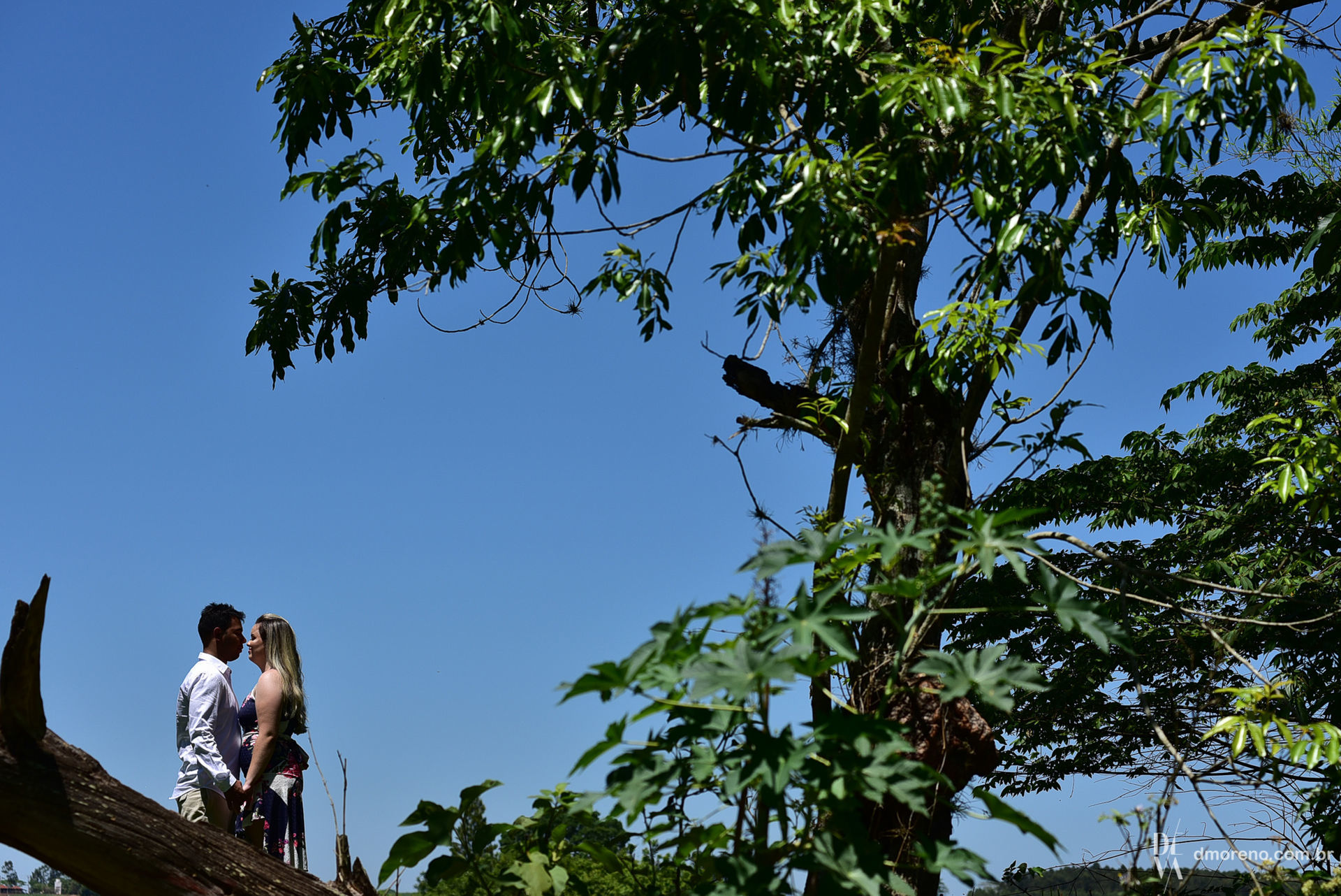 Foto Carolina + José Weliton . Um lindo ensaio na fazenda Foto Carolina + José Weliton . Um lindo ensaio na fazenda - Imagem 19