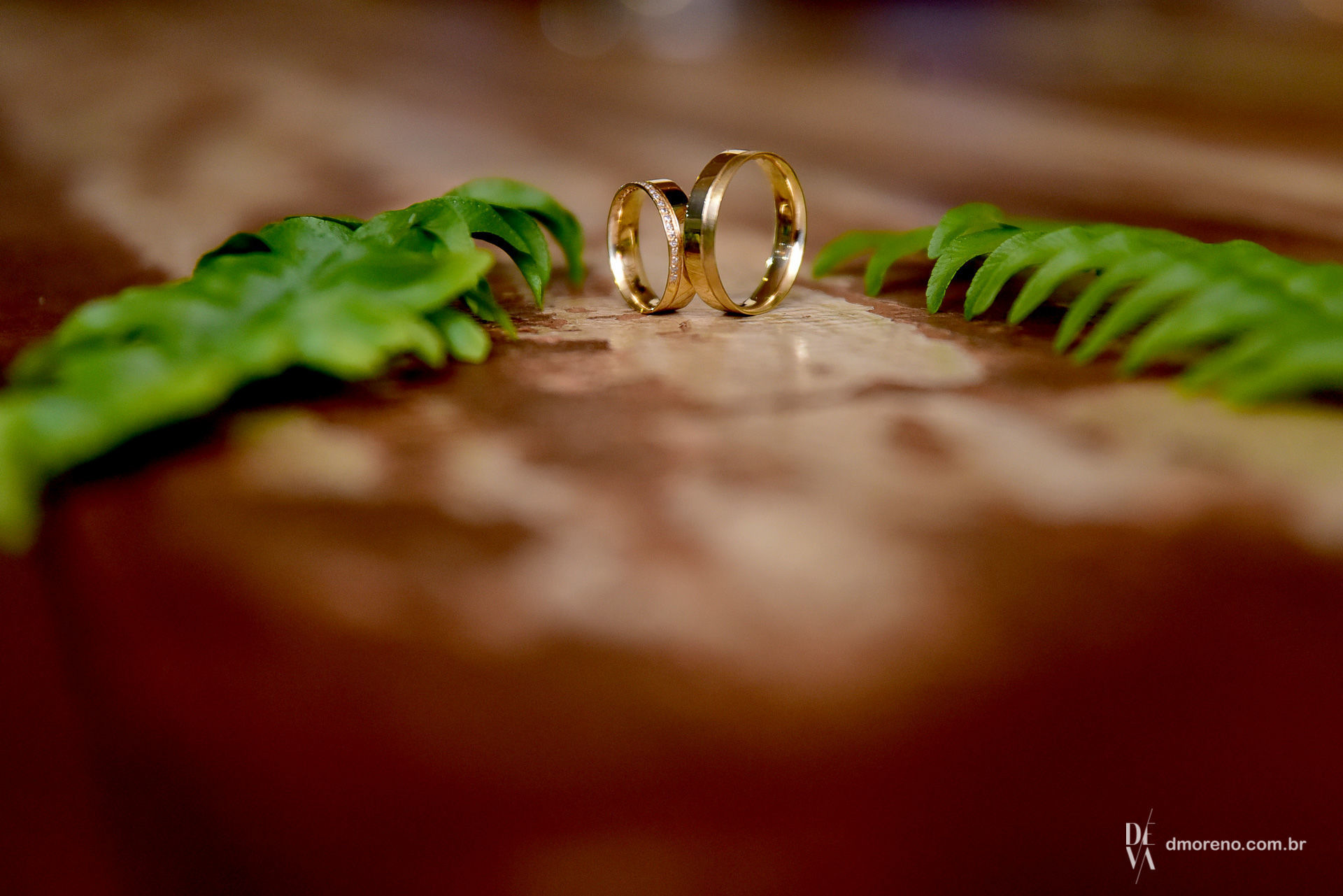 Foto O Lindo Casamento em Monte Aprazivel de Camila e Daniel Foto O Lindo Casamento em Monte Aprazivel de Camila e Daniel - Imagem 40