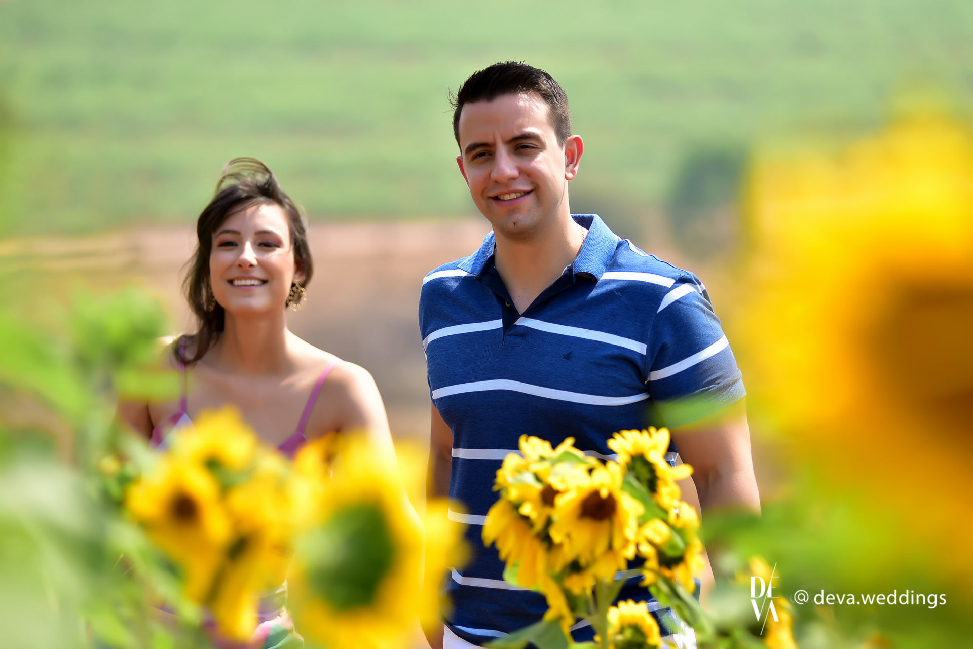 Foto Carolyne e Gustavo e um pre-casamento com lindos Girassóis Foto Carolyne e Gustavo e um pre-casamento com lindos Girassóis - Imagem 14