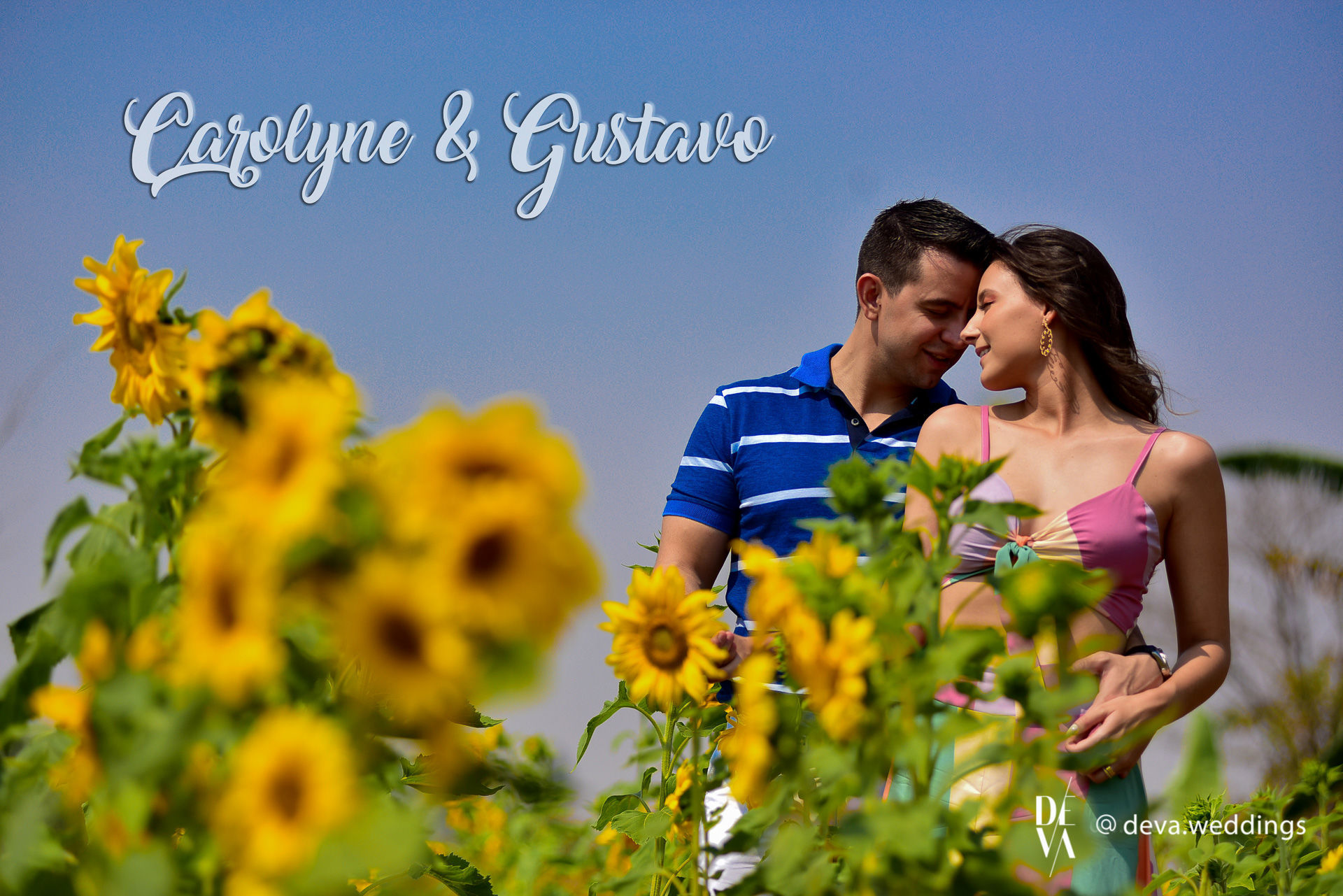 Foto Carolyne e Gustavo e um pre-casamento com lindos Girassóis Foto Carolyne e Gustavo e um pre-casamento com lindos Girassóis - Imagem 0