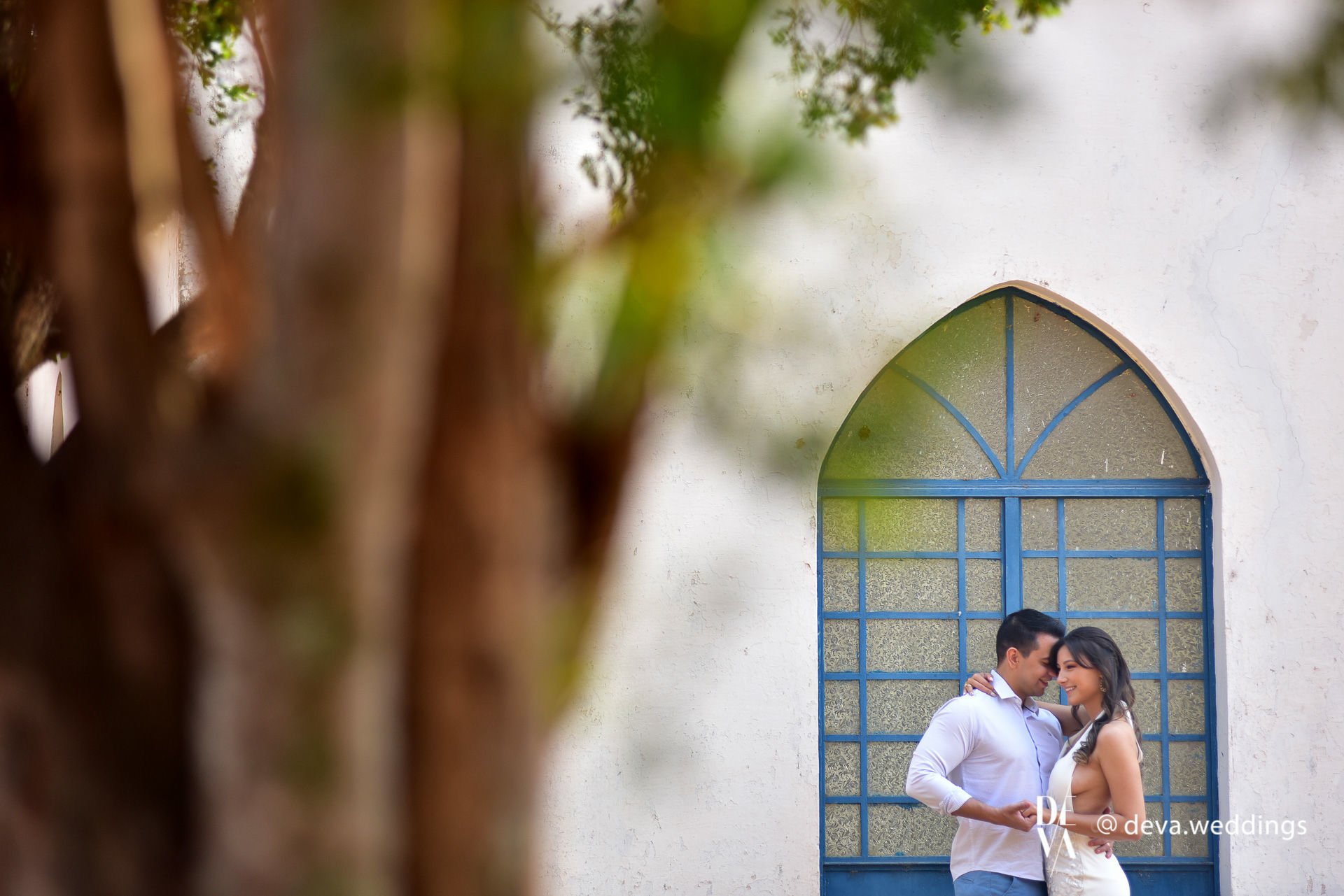 Foto Carolyne e Gustavo e um pre-casamento com lindos Girassóis Foto Carolyne e Gustavo e um pre-casamento com lindos Girassóis - Imagem 18